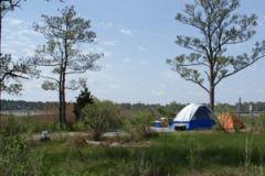 Camping at Point Lookout State Park