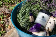 fresh lavender