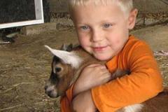 Summers Farm