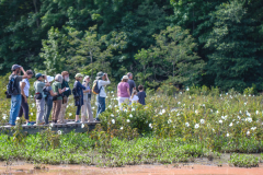 Birdwatchers