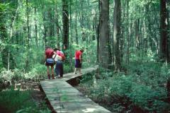 Battle Creek Cypress Swamp Battle Creek Cypress Swamp