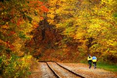 Great Allegheny Passage in Cumberland MD Bike Trail and Tracks of Maryland