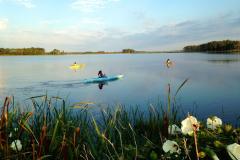 Paddle the waterways at Blackwater National Wildlife Refuge to experience landscapes that would be familiar to Harriet Tubman who grew up in the area. Blackwater Refuge offers land trails, paddling trails, exceptional bird and wildlife viewing, as well as hunting, fishing and crabbing opportunities in season. Several local outfitters offer canoe, kayak or bicycle rentals.