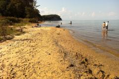 Calvert Cliffs State Park - Lusby This Chesapeake Bay beach is famous with fossil hunters looking for sharks teeth.