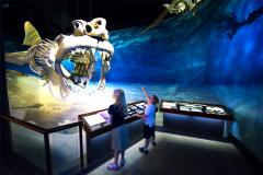 Calvert Marine Museum
