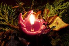 Candle and ferns Candle and ferns