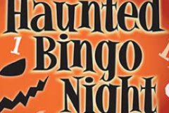Bingo night logo