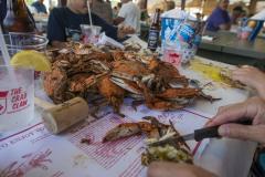 Crabs at Crab Claw Crabs at Crab Claw