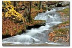 Cunningham Falls is known for its scenic beauty, history and 78-ft. cascading waterfall, plus great hunting, swimming, beaches, boat rental, hiking, and camping. Cunningham Falls is known for its scenic beauty, history and 78-ft. cascading waterfall, plus great hunting, swimming, beaches, boat rental, hiking, and camping.