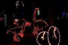 Annmarie Garden in Lights Annmarie Garden in Lights