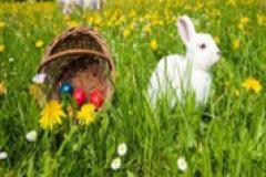 Grasss with Easter basket spilling the eggs and a bunny