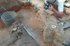 An archeologist at a dig