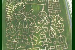Bowles Farms Corn Maze