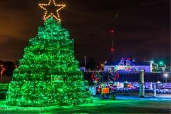Holiday lights