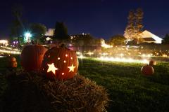 Garden Glow at Ladew glowing pumpkins at night