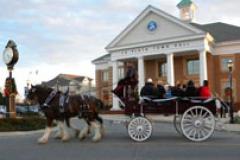 horse drawn carriage