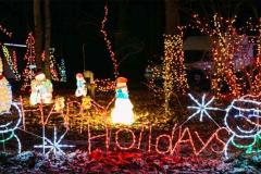 Christmas lights