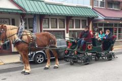 horse and sleigh