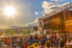 DelFest