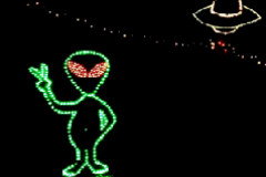 Garden in Lights