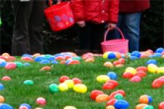 Easter eggs in a field