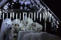 Holiday lights display