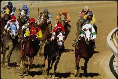 Horse Racing Maryland's horse racing tradition runs deep, and there are a number of places to play the ponies around the state.
