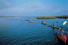 Kayaking at Janes Island Janes Island is an ideal spot for watersports like kayaking.