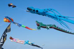 Kites are flying during the Maryland International Kite Expo in Ocean City. Maryland International Kite Expo