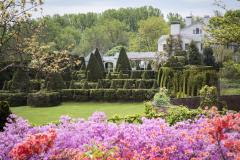 Ladew Topiary Gardens - Azaleas Ladew Topiary Gardens - Azaleas