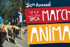 March for the Animals in Baltimore March for the Animals in Baltimore