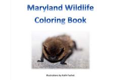 Maryland Wildlife Coloring Book