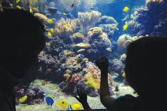 The National Aquarium in Baltimore The National Aquarium in Baltimore
