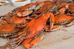 April through December are the best months to eat fresh steamed Maryland blue crabs, and there's no shortage of supply at the crab houses along this byway. April through December are the best months to eat fresh steamed Maryland blue crabs, and there's no shortage of supply at the crab houses along this byway.