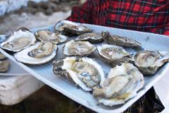 OysterFest at Chesapeake Bay Maritime Museum