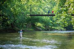 Patapsco Valley State Park is a wooded oasis along the Patapsco River between Ellicott City and Elkridge. Patapsco Valley State Park is a wooded oasis along the Patapsco River between Ellicott City and Elkridge.