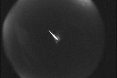 Perseid Meteor