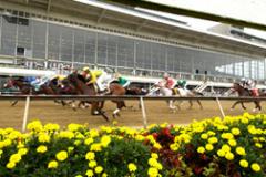 Preakness at Pimlico Raceway