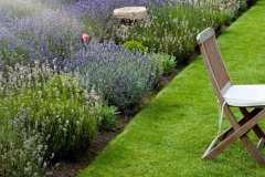 Lavender Farm