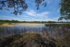 Queen Annes Co. Chesapeake Bay Environmental Center marsh