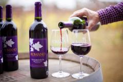 Purple Wine Purple Wine