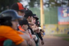 Shorebirds Dugout Shorebirds Dugout