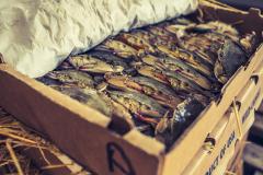 Soft-Shell Crabs