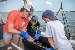Visitors Inspect the Catch while on a Solomon's Island Heritage Tour Visitors Inspect the Catch while on a Solomon's Island Heritage Tour