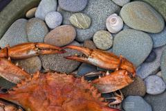 Steamed Crab Steamed Crab