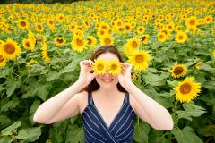 Sunflower field
