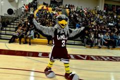University of Maryland Eastern Shore Mascot