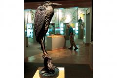 Exhibit in the Ward Museum
