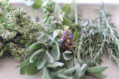 Image of herbs