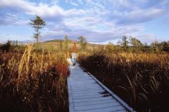 Cranesville Swamp Preserve Cranesville Swamp Preserve